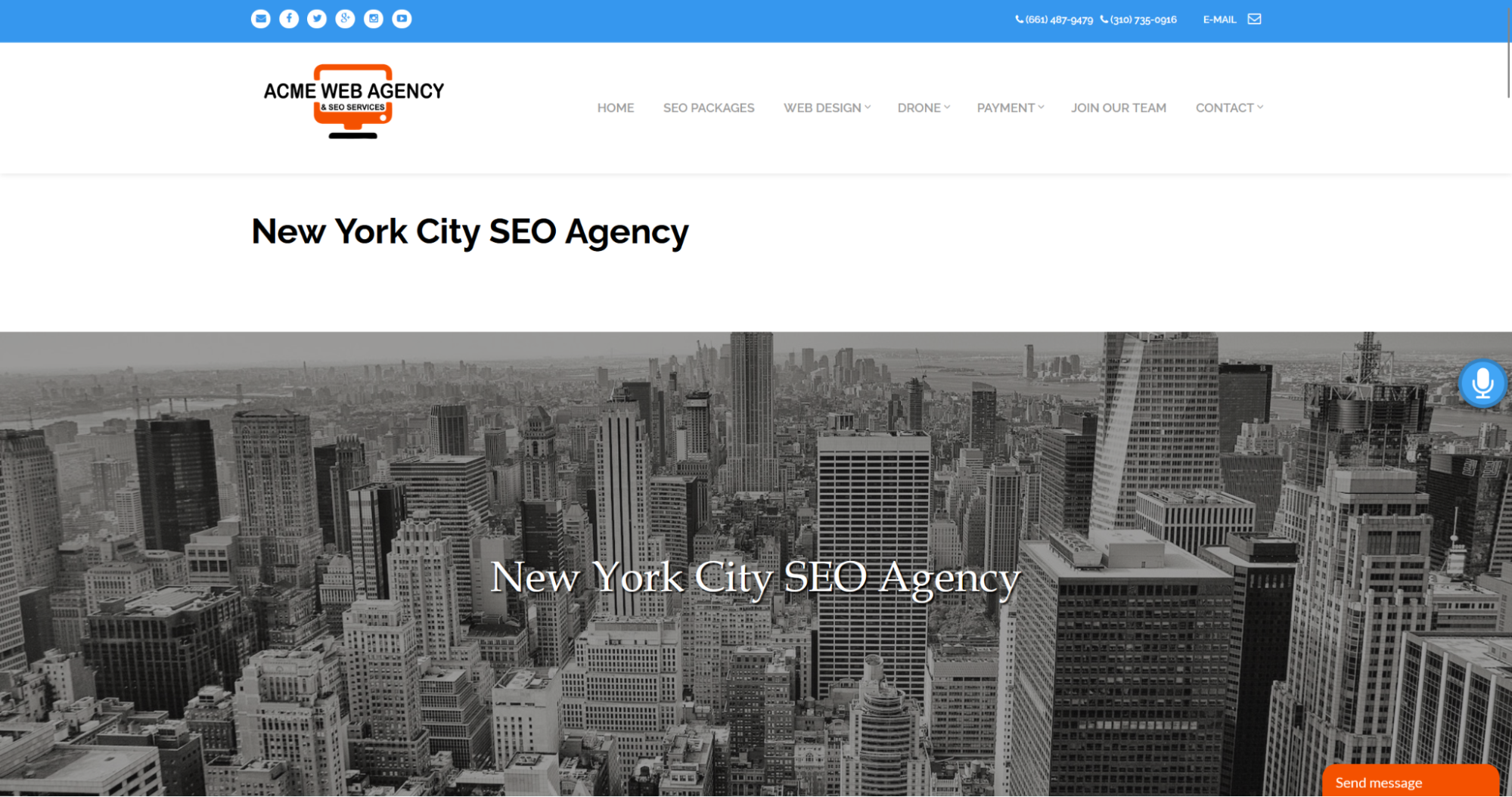 Acme web agency review
