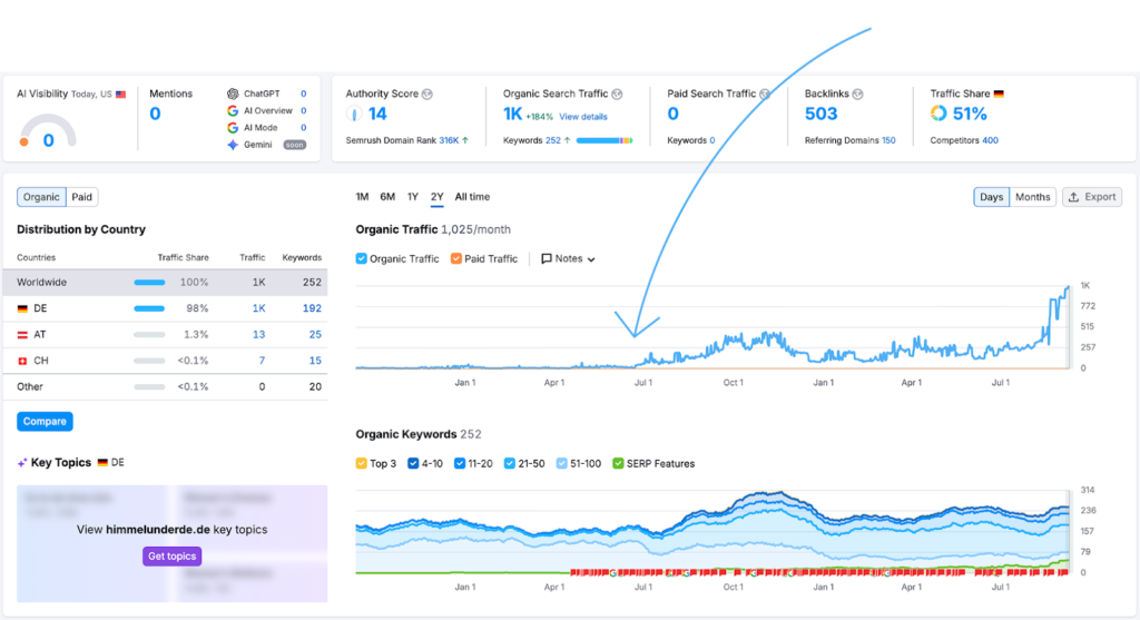 seo success case study