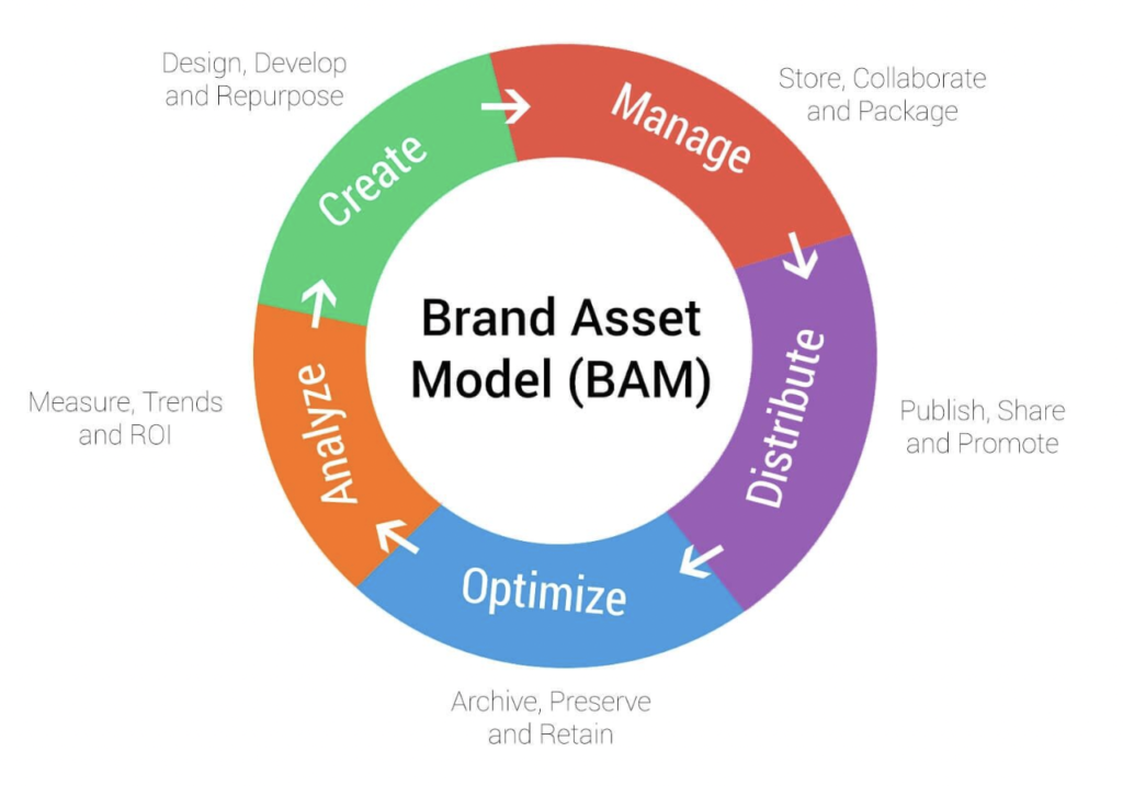 brand asset model