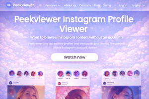 Private Insta Story Viewer
